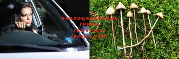 МДПВ Алзамай