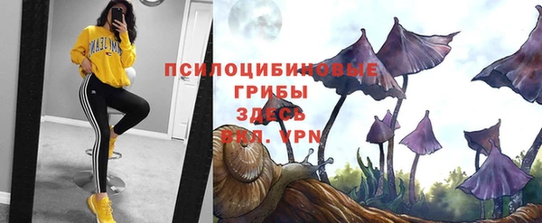МДПВ Алзамай