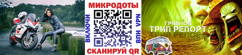 Галлюциногенные грибы Psilocybine cubensis Сенгилей